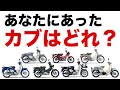 【2023年版】カブの魅力や選び方を徹底解説！スーパーカブ/ハンターカブ/クロスカブ/リトルカブからおすすめも紹介