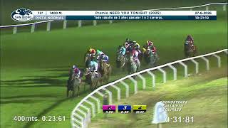 Vidéo de la course PMU PREMIO NEED YOU TONIGHT 2025