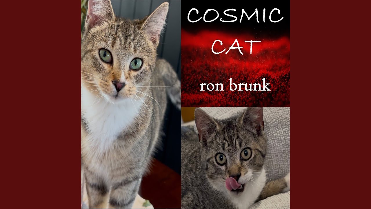 Cosmic Cat