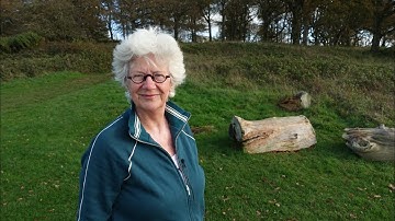 Respect Tree Trunk Badbury Rings Portal to Inner Earth