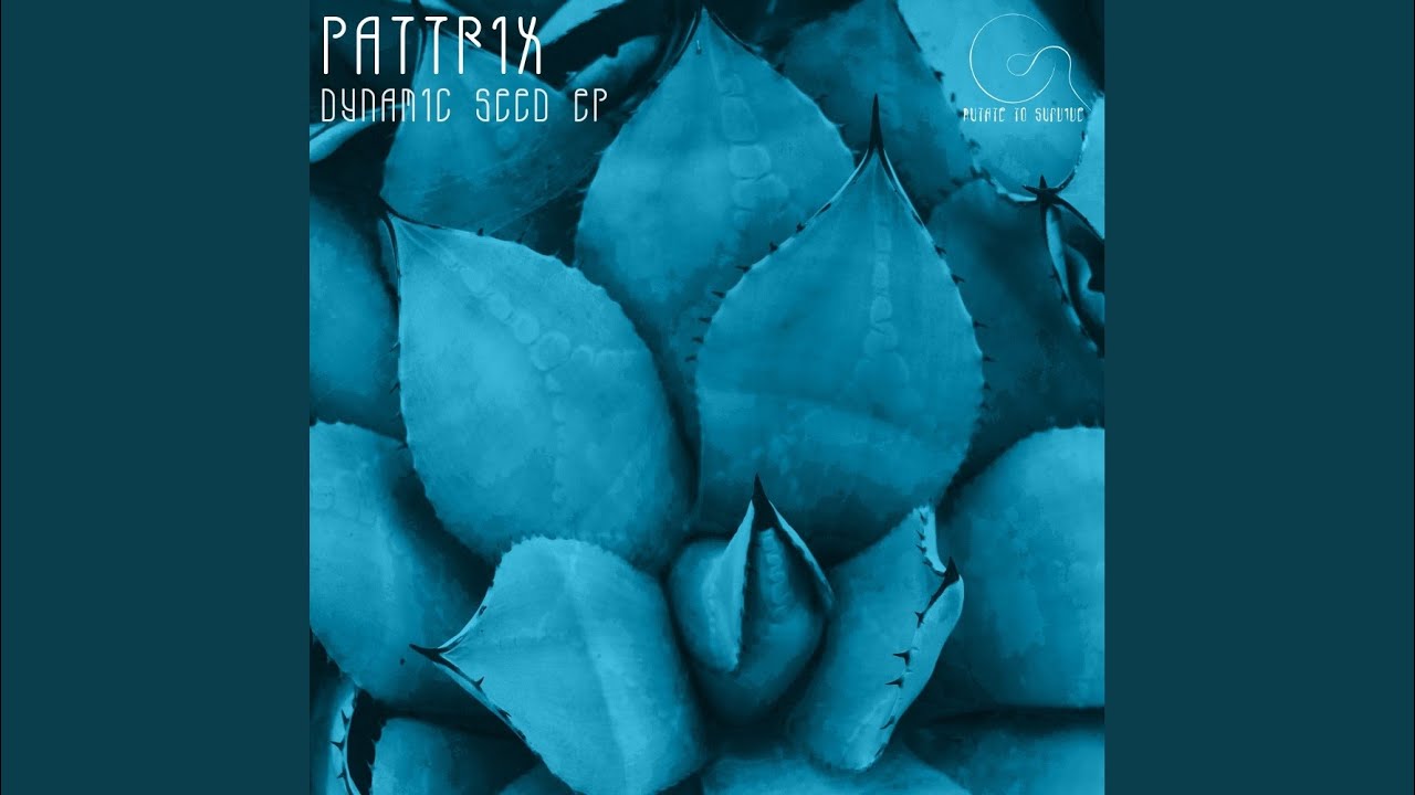 Watch Dynamic Seed (Original Mix) on YouTube Watch Dynamic Seed (Original Mix) on YouTube