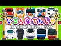【いろんな電車と新幹線たっぷり】でんしゃ だいすき！ 日本全国48種類の列車56分 🚋 はやぶさ・こまち・スカイライナー・とうきゅうせん いろんなでんしゃ 【電車 子供 人気】