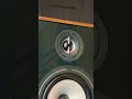 The New Star of the Borea Series  | TRIANGLE BR04 #hifi