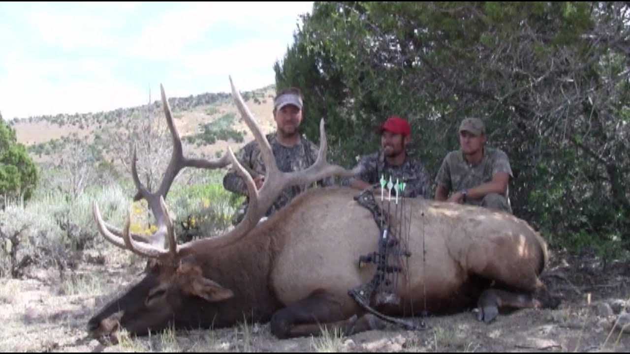 Utah Archery Elk Hunt Trey Pricor MossBack YouTube