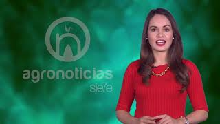 TITULARES AGRONOTICIAS sie7e PROGRAMA 132