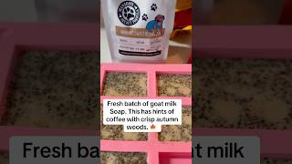 #goatmilksoap with #narrowayhomestead #minion #coffee infused with autumn woods