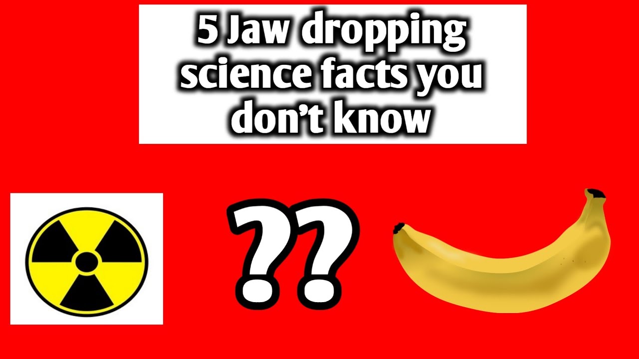 Banana is Radioactive how?? How universe actually looks like?? and