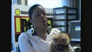 Tt Torrez Introduction