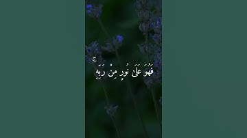 سورة الزمر : أَفَمَن شَرَحَ اللَّهُ صَدْرَهُۥ لِلْإِسْلٰمِ فَهُوَ عَلٰى نُورٍ مِّن رَّبِّهِ