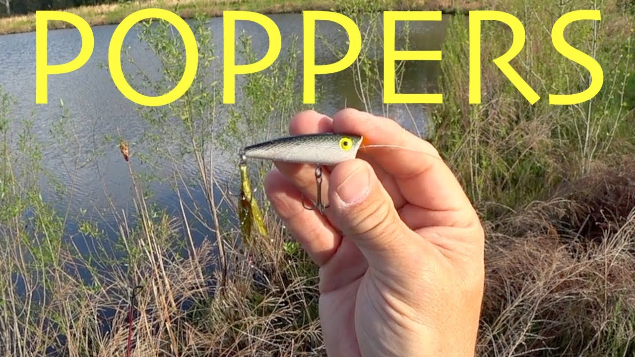 Early Spring Popper Fishing! Pop - R Teeny and Pond Magic Spinnerbait 