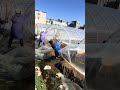 How to Install Greenhouse Film Like a Pro!