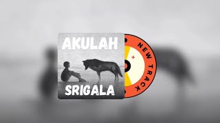 akulah srigala - nineball (speed up)