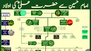 Family Tree of Hazrat Ali | Lineage of Imam Hussain | Nasheed by @calmislam