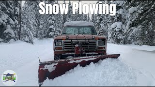 Bullnose Ford Snow Plowing