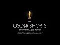 Oscar Shorts 2017- обзор пяти Оскаровских короткометражек