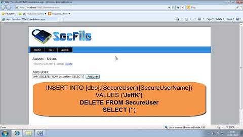 Learn ASP.NET 4.0 Expert Skills Lesson 9-11: Understand SQL injection attacks