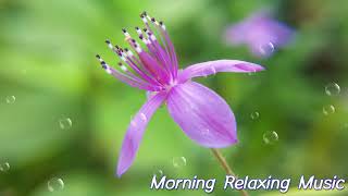 3 hours of morning relaxation music, meditation music, yoga, stress relief music