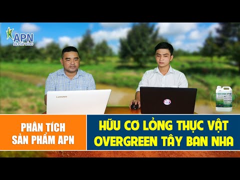 Video: Thông tin về Rêu Tây Ban Nha - Loại Rêu Tây Ban Nha dành cho bạn