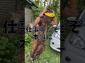 現場をサボる民族系顔面ピアス男 #Shorts