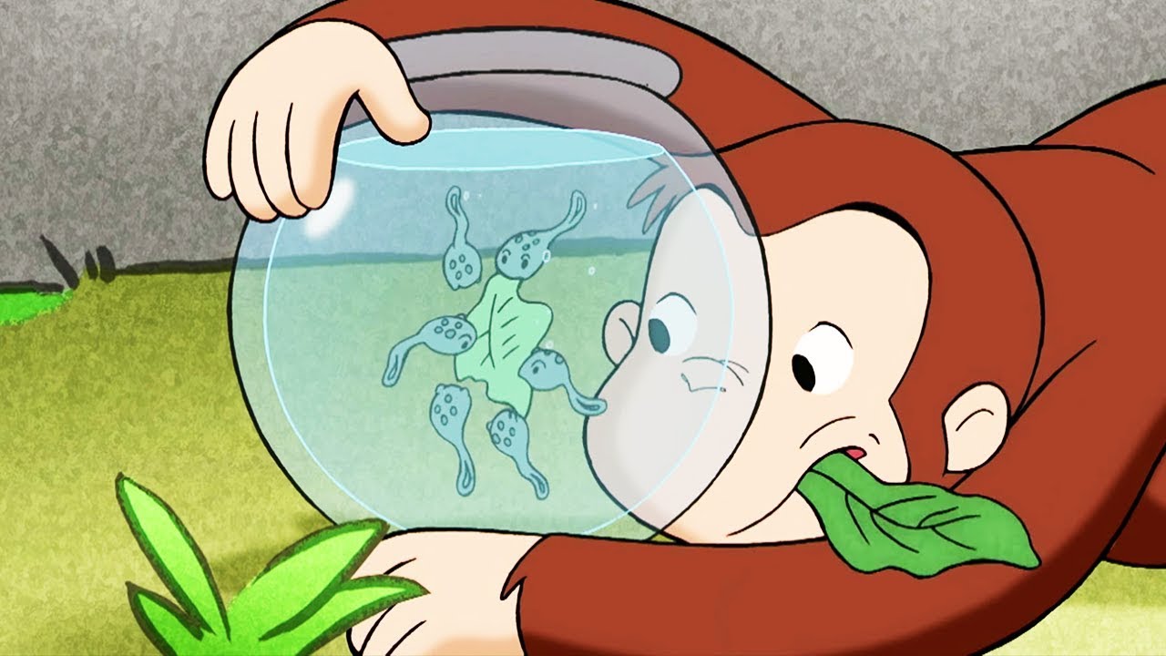 Georges Le Petit Singe En Francais Des Beignets Saison 1 Episode