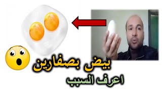 بيض بصفارين | أسباب تكون البيض كبير الحجم