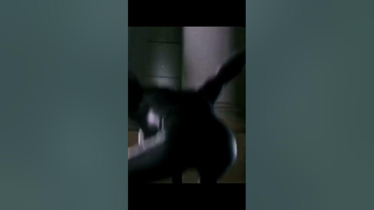 See ya chump fart+scooby doo laugh