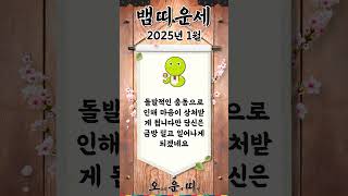 월간 뱀띠 운세 2025년 1월 #뱀띠 #오늘의운세 #내일의운세 #월간운세 #운세 #운세쇼츠