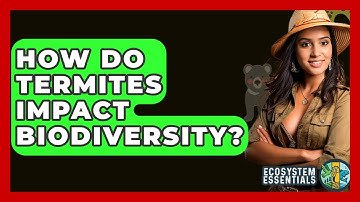 How Do Termites Impact Biodiversity? - Ecosystem Essentials