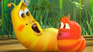 LARVA | Babylarven | 2018 volledige film | Cartoon voor kinderen | WildBrain