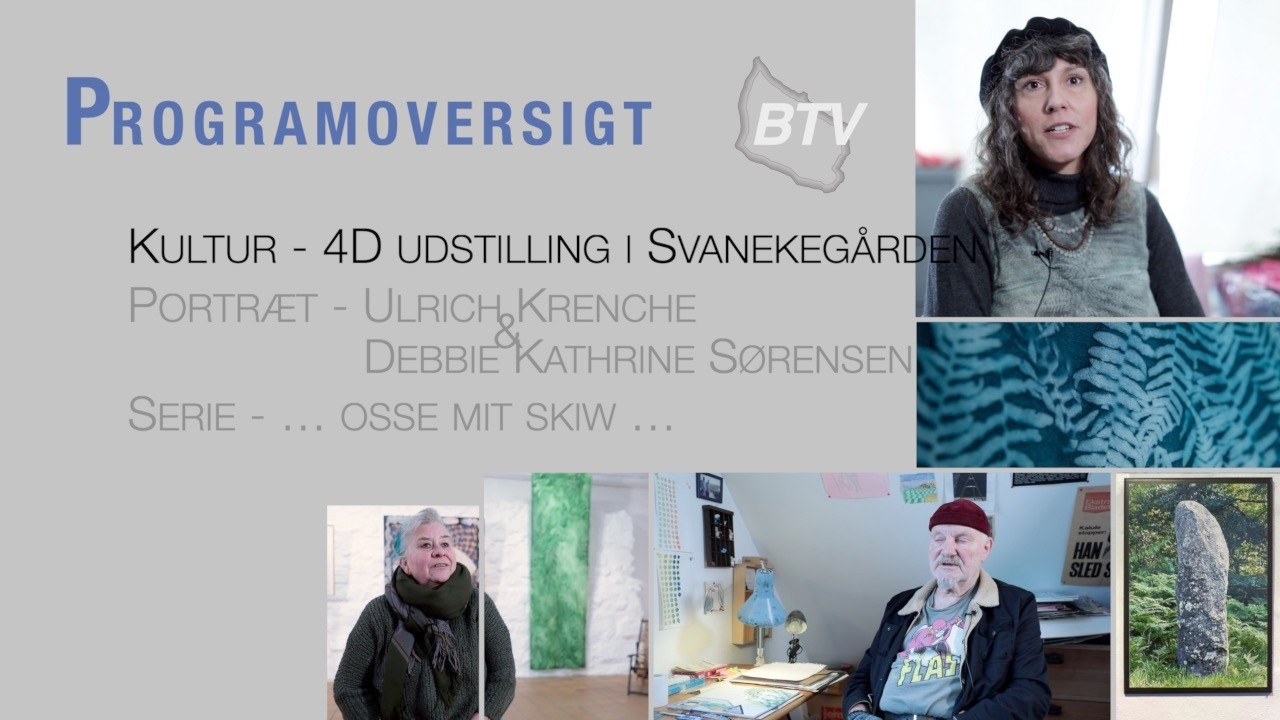 4D i Svanekegården