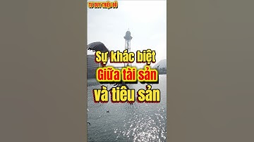 Sự khác biệt giữa tài sản và tiêu sản thực sự là gì?