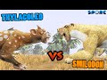 Thylacoleo vs Smilodon | Prehistoric Beast Battle [S3E13] | SPORE