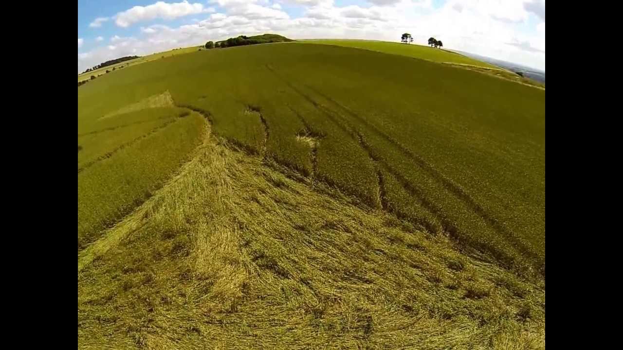 Crop Circle - Wessex Ridgeway, Nr Roundway, Wiltshire, UK. Reported 24th July.