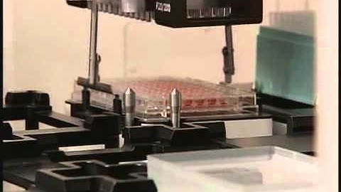 Conducting Research in the CBFG I