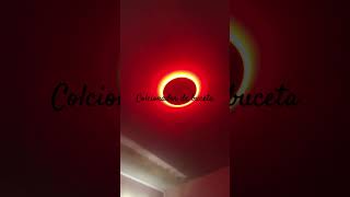 Colcionador De Buceta