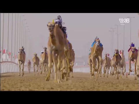 المركاض الإجراءات الوقائية بعودة المنافسات