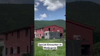 Enjoy Medjugorje #medjugorje #bosniaherzegovina #vlog