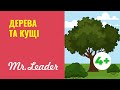 Ранній розвиток дитини. Mr.Leader. 4-5 років Серія: Дерева та кущі. Щоденне планування для виховання
