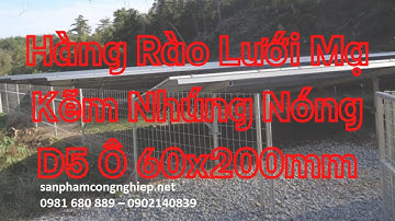 Hàng rào lưới mạ kẽm nhúng nóng D5 ô 60x200mm giá rẻ không tưởng