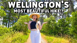 This is BEAUTIFUL! Hiking Wellington's Southern Walkway | New Zealand