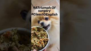 Tricky MCQs – Class 10 English Chapter 1🤑😨