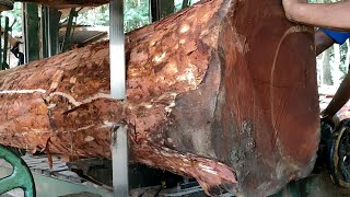 Si jago merah mahogany wood sawmill indonesia ! Extrime' penggrajian kayu mahoni besar bahan papan