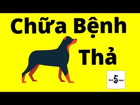 Video: Cách Sa Thải Một Công Nhân Cẩu Thả Trong Năm