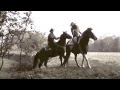 Pazzi a cavallo..Trailer Magic Fantasy Horse..Sarah Argo & Co.