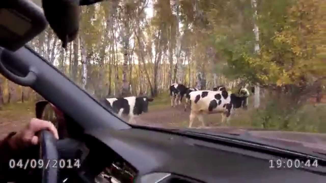 Тест видеорегистратора  Highscreen Black Box Drive