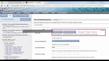 Identifying duplicate reads in RNA-Seq data using Picard.MarkDuplicates in GenePattern