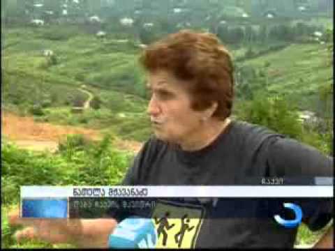 დაბა ჩაქვის მოსახლეობა, მიწის ნაკვეთის სანაცვლოდ, კომპენსაციებს ითხოვს