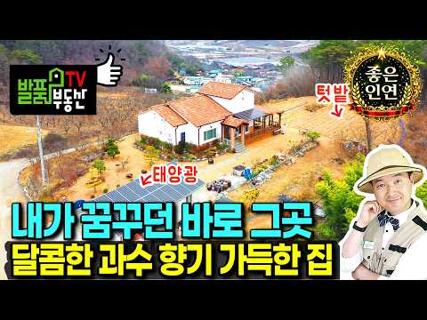 탁트인 전망 <strong>텃세</strong> 걱정없는 경북 구미 전원주택 매매 따뜻한 햇살에 633평의 텃밭과 과수원까지 있는 보금자리 구미부동산 - 발품부동산TV