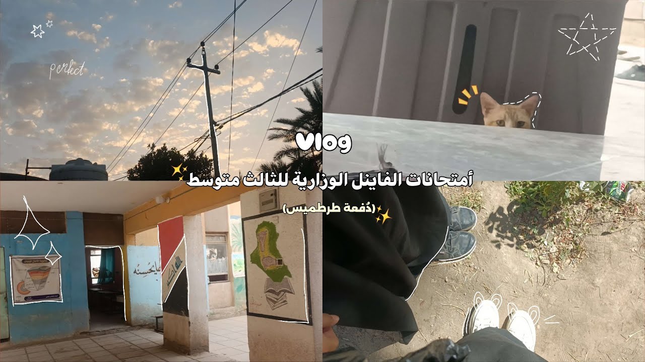 فلوق أمتحانات الفاينل لطالبة ثالث متوسط | دُ. طرطميس 🙂‍↕️🌷✨.