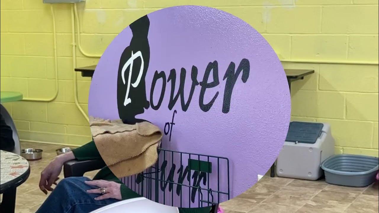 Kennel interviews Revised Gonzalez YouTube